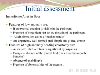Initial assessment
Imperforate Anus in Boys
 Features of low anomaly are:
 If an external opening is visible in the perineum
 Presence of meconium just below the skin of the perineum.
 A skin formation called a “bucket handle”
 An apparently well-formed anal dimple and gluteal crease
 Features of high anomaly needing colostomy are:
 Associated cleft scrotum or significant hypospadias
 Complete absence of the gluteal fold (the crease between the
buttocks)
 Absence of anal dimple
 Presence of abnormalities of the sacrum .
 