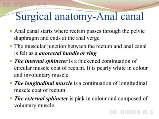Surgical anatomy-Anal canal
 Anal canal starts where rectum passes through the pelvic
diaphragm and ends at the anal verge
 The muscular junction between the rectum and anal canal
is felt as a anorectal bundle or ring
 The internal sphincter is a thickened continuation of
circular muscle coat of rectum. It is pearly white in colour
and involuntary muscle
 The longitudinal muscle is a continuation of longitudinal
muscle coat of rectum
 The external sphincter is pink in colour and composed of
voluntary muscle
 