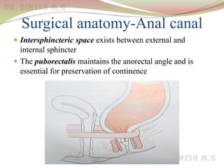 Surgical anatomy-Anal canal
 Intersphincteric space exists between external and
internal sphincter
 The puborectalis maintains the anorectal angle and is
essential for preservation of continence
 