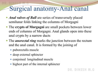 Surgical anatomy-Anal canal
 Anal valves of Ball are series of transversely placed
semilunar folds linking the columns of Morgagni
 The crypts of Morgagni are small pockets between lower
ends of columns of Morgagni. Anal glands open into these
anal crypts by a narrow ducts
 The anorectal ring marks the junction between the rectum
and the anal canal. It is formed by the joining of
 puborectalis muscle
 deep external sphincter
 conjoined longitudinal muscle
 highest part of the internal sphincter
 