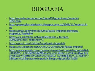 BIOGRAFIA
• http://mundo-pecuario.com/tema191/gramineas/imperial-
1053.html
• http://pastosyforrajesieavm.blogspot.com.co/2009/11/imperial.ht
ml
• https://prezi.com/klxmc3az0mla/pasto-imperial-axonopus-
scoparius/?webgl=0
• https://es.slideshare.net/pipe69/pastos-y-forrajes-
30982692?next_slideshow=1
• https://prezi.com/uhilxhp2cvjp/pasto-imperial/
• https://es.slideshare.net/CAMILAGUERRERO18/pasto-imperial
• https://www.google.com.co/search?q=pasto+imperial+gomosis&rlz
=1C1SAVU_enCO689CO689&source=lnms&tbm=isch&sa=X&ved=0
ahUKEwjjwN3gttLTAhUJRSYKHUtuABEQ_AUIBigB&biw=1517&bih=7
35#tbm=isch&q=pasto+imperial+&imgrc=dpUpiuf1sTsI0M:
 