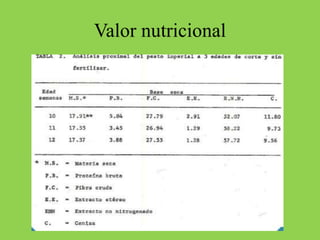 Valor nutricional
 
