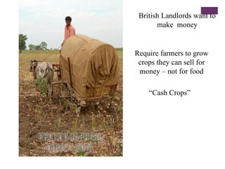 British Landlords want to
       make money


Require farmers to grow
 crops they can sell for
 money – not for food

    “Cash Crops”
 