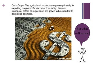 +   Cash Crops. The agricultural products are grown primarily for
    exporting purposes. Products such as indigo, banana,
    pineapple, coffee or sugar cane are grown to be exported to
    developed countries.




                                                                     But what
                                                                    will we eat?
 
