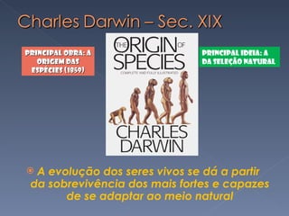 A evolução dos seres vivos se dá a partir  da sobrevivência dos mais fortes e capazes de se adaptar ao meio natural Principal Obra: A Origem das Espécies (1859) Principal Ideia: a da Seleção Natural 