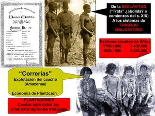 De la ESCLAVITUD
                                     (“Trata” ¿abolida? a
                                     comienzos del s. XIX)
                                       A los sistemas de
                                           TRABAJO
                                        OBLIGATORIO


                                 Esclavos sacados de África
                                  1700-1800:    7.430.000
                                  1800-1900:    5.420.000




    “Correrías”
 Explotación del caucho
      (Amazonas)

Economía de Plantación
      PLANTACIONES
   Usadas para todos los
productos agrícolas tropicales
 
