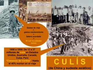 Gastos de viaje
                          +
               gastos mantenimiento
                          >
                 Salario acordado
                          =
                 El culí no cobraba
                        nunca


   1850 a 1950: De 12 a 37
millones de culís en Estados
 Unidos, Australia, Canadá,
         Cuba, Perú
“Comercio de Cerdos”: Hasta
  el 40% morían en el viaje              CULÍS
                                      (de China y sudeste asiático)
 
