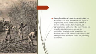  La explotación de los recursos naturales. Los
europeos buscaron aprovechar las riquezas
disponibles en las tierras conquistadas al
menor costo posible. Para lograrlo, se
apropiaron de las tierras y las convirtieron en
grandes plantaciones en las que se
cultivaban productos que no existían en
Europa, como café, azúcar, cacao o té, o bien
se explotaban minerales como oro, carbón y
diamantes.
 