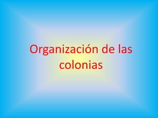 Imperialismo Y Colonialismo