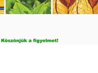 Köszönjük a figyelmet!
 