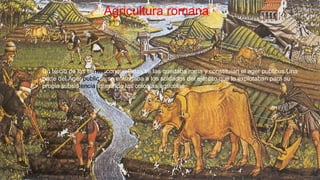 Un tercio de las tierras conquistadas se las quedaba roma y constituían el ager publicus.Una
parte del Ager publicus se entregaba a los soldados del ejército que lo explotaban para su
propia subsistencia formando las colonias agrícolas.
Agricultura romana
 