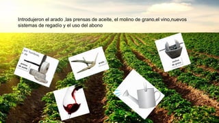 Introdujeron el arado ,las prensas de aceite, el molino de grano,el vino,nuevos
sistemas de regadío y el uso del abono
 