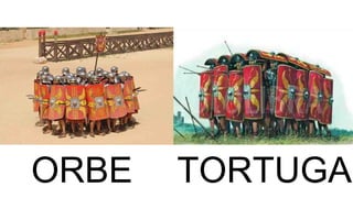 ORBE TORTUGA
 