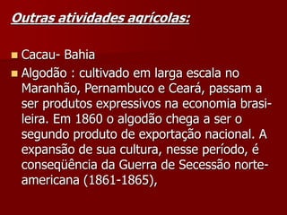 Outras atividades agrícolas:
 Cacau- Bahia
 Algodão : cultivado em larga escala no
Maranhão, Pernambuco e Ceará, passam a
ser produtos expressivos na economia brasi-
leira. Em 1860 o algodão chega a ser o
segundo produto de exportação nacional. A
expansão de sua cultura, nesse período, é
conseqüência da Guerra de Secessão norte-
americana (1861-1865),
 