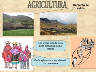 Los ayllus eran la base
de la estructura social
incaica
Cada ayllu estaba encabezado
por un curaca.
Conjunto de
ayllús
 
