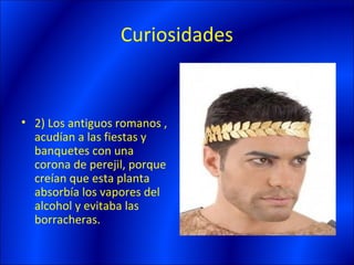 Curiosidades


• 2) Los antiguos romanos ,
  acudían a las fiestas y
  banquetes con una
  corona de perejil, porque
  creían que esta planta
  absorbía los vapores del
  alcohol y evitaba las
  borracheras.
 