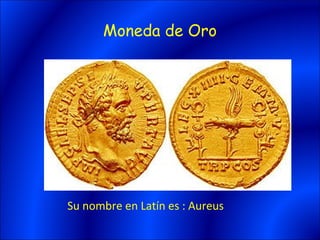Moneda de Oro




Su nombre en Latín es : Aureus
 