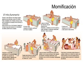 Momificación
 