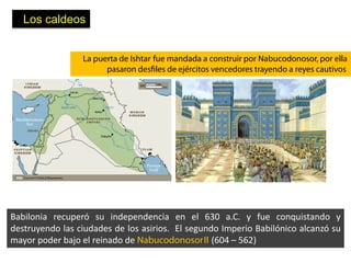 Los caldeos


                 La puerta de Ishtar fue mandada a construir por Nabucodonosor, por ella
                       pasaron desfiles de ejércitos vencedores trayendo a reyes cautivos




Babilonia recuperó su independencia en el 630 a.C. y fue conquistando y
destruyendo las ciudades de los asirios. El segundo Imperio Babilónico alcanzó su
mayor poder bajo el reinado de Nabucodonosor II (604 – 562)
 