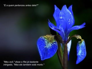 "E a quem pertenceu antes dele?"
"Meu avô," disse o Rei já bastante
intrigado, "Mas ele também está morto."
 