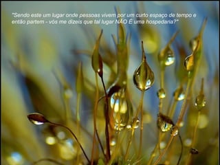 "Sendo este um lugar onde pessoas vivem por um curto espaço de tempo e
então partem - vós me dizeis que tal lugar NÃO É uma hospedaria?"
 