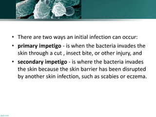 • There are two ways an initial infection can occur:
• primary impetigo - is when the bacteria invades the
skin through a cut , insect bite, or other injury, and
• secondary impetigo - is where the bacteria invades
the skin because the skin barrier has been disrupted
by another skin infection, such as scabies or eczema.
 
