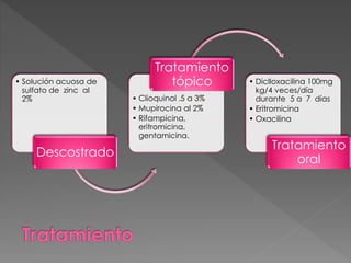 • Solución acuosa de 
sulfato de zinc al 
2% 
Descostrado 
Tratamiento 
tópico • Diclloxacilina 100mg 
• Clioquinol .5 a 3% 
• Mupirocina al 2% 
• Rifampicina, 
eritromicina, 
gentamicina. 
kg/4 veces/día 
durante 5 a 7 días 
• Eritromicina 
• Oxacilina 
Tratamiento 
oral 
 