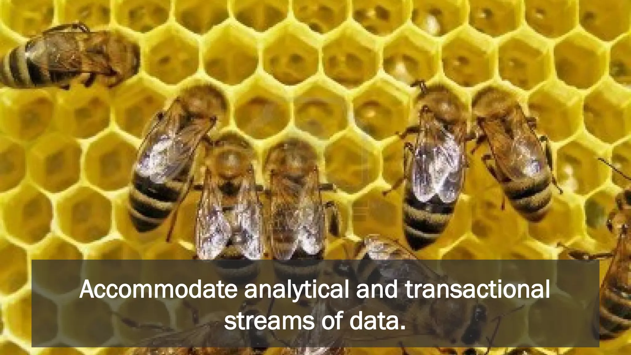 Accommodate analytical and transactional
streams of data.
 