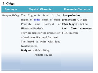 Kangra Valley The Chgnu is found in the
region of India north of Uttar
Pradesh and northest of
Himachal Pradesh.
They are kept for the production
of cashmere fiber and for meat.
The breed is white with long
twisted horns.
Body wt. : Male : 28 kg
Female : 22 kg
Ave.pashmina
production –214 gm .
Fibre length – 5.9 cm
Ave. fibre diameter-
11.77 micron
3. Chigu
 