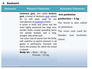Cashmere goat, also called Kashmir
goat, a breed of domestic goat valued
for its soft wool, used for the
manufacture of cashmere shawls.
It varies in build and colour but the
most highly esteemed has large ears,
slender limbs, curved spreading horns
not spirally twisted, and a long,
straight, silky white coat.
the outer coat of coarse hair the fluffy,
soft underfur or pashm (present in all
goats) is particularly luxuriant and
forms the product for which the breed
is valued..
Body wt. : Male : 28 kg
Female : 22 kg
Ave.pashmina
production – 2 kg .
The breed is also called
as pashmina .
The outer coat used for
blanket and kashmiri
shawl.
4. Kashmiri
 