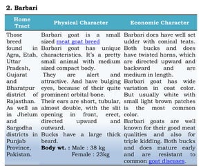 Those
breed
found in
Agra, Etah,
Uttar
Pradesh,
Gujarat
and
Bharatpur
district of
Rajasthan.
As well as
in Jhelum
and
Sargodha
districts in
Punjab
Province,
Pakistan.
Barbari goat is a small
sized meat goat breed
Barbari goat has unique
characteristics. It’s a pretty
small animal with medium
sized compact body.
They are alert and
attractive. And have bulging
eyes, because of their quite
prominent orbital bone.
Their ears are short, tubular,
almost double, with the slit
opening in front, erect,
directed upward and
outward.
Bucks have a large thick
beard.
Body wt. : Male : 38 kg
Female : 23kg
Barbari does have well set
udder with conical teats.
Both bucks and does
have twisted horns, which
are directed upward and
backward and are
medium in length.
Barbari goat has wide
variation in coat color.
But usually white with
small light brown patches
is the most common
color.
Barbari goats are well
known for their good meat
qualities and also for
triple kidding. Both bucks
and does mature early
and are resistant to
common goat diseases.
2. Barbari
 