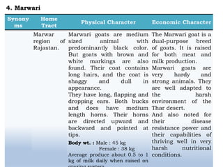 Marwar
region of
Rajastan.
Marwari goats are medium
sized animal with
predominantly black color.
But goats with brown and
white markings are also
found. Their coat contains
long hairs, and the coat is
shaggy and dull in
appearance.
They have long, flapping and
dropping ears. Both bucks
and does have medium
length horns. Their horns
are directed upward and
backward and pointed at
tips.
Body wt. : Male : 45 kg
Female : 38 kg
Average produce about 0.5 to 1
kg of milk daily when raised on
The Marwari goat is a
dual-purpose breed
of goats. It is raised
for both meat and
milk production.
Marwari goats are
very hardy and
strong animals. They
are well adapted to
the harsh
environment of the
Thar desert.
And also noted for
their disease
resistance power and
their capabilities of
thriving well in very
harsh nutritional
conditions.
4. Marwari
 