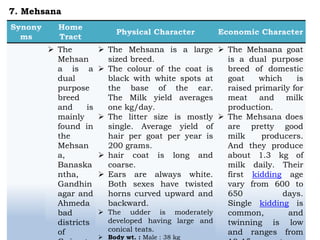  The
Mehsan
a is a
dual
purpose
breed
and is
mainly
found in
the
Mehsan
a,
Banaska
ntha,
Gandhin
agar and
Ahmeda
bad
districts
of
 The Mehsana is a large
sized breed.
 The colour of the coat is
black with white spots at
the base of the ear.
The Milk yield averages
one kg/day.
 The litter size is mostly
single. Average yield of
hair per goat per year is
200 grams.
 hair coat is long and
coarse.
 Ears are always white.
Both sexes have twisted
horns curved upward and
backward.
 The udder is moderately
developed having large and
conical teats.
 Body wt. : Male : 38 kg
 The Mehsana goat
is a dual purpose
breed of domestic
goat which is
raised primarily for
meat and milk
production.
 The Mehsana does
are pretty good
milk producers.
And they produce
about 1.3 kg of
milk daily. Their
first kidding age
vary from 600 to
650 days.
Single kidding is
common, and
twinning is low
and ranges from
7. Mehsana
 