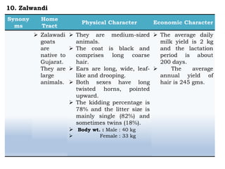  Zalawadi
goats
are
native to
Gujarat.
They are
large
animals.
 They are medium-sized
animals.
 The coat is black and
comprises long coarse
hair.
 Ears are long, wide, leaf-
like and drooping.
 Both sexes have long
twisted horns, pointed
upward.
 The kidding percentage is
78% and the litter size is
mainly single (82%) and
sometimes twins (18%).
 Body wt. : Male : 40 kg
 Female : 33 kg
 The average daily
milk yield is 2 kg
and the lactation
period is about
200 days.
 The average
annual yield of
hair is 245 gms.
10. Zalwandi
 