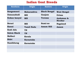 Indian Goat Breeds
Southern Origin Eastern Origin
Sangamneri Maharashtra Black Bengal West Bengal
Osmanabadi MH Ganjam Orissa
Kokan kanyal MH Teressa Andaman &
Nicobar
Berari MH Sumi-ne Nagaland
Kanni Tamil Nadu Assam Hill Assam
Kodi Adu TN
Salem Black TN
Malbari Kerala
Bidri Karnataka
Nandidurag Karnataka
 
