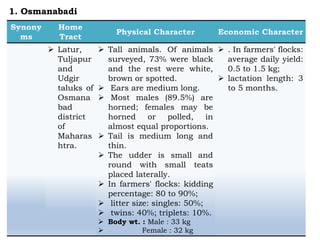  Latur,
Tuljapur
and
Udgir
taluks of
Osmana
bad
district
of
Maharas
htra.
 Tall animals. Of animals
surveyed, 73% were black
and the rest were white,
brown or spotted.
 Ears are medium long.
 Most males (89.5%) are
horned; females may be
horned or polled, in
almost equal proportions.
 Tail is medium long and
thin.
 The udder is small and
round with small teats
placed laterally.
 In farmers' flocks: kidding
percentage: 80 to 90%;
 litter size: singles: 50%;
 twins: 40%; triplets: 10%.
 Body wt. : Male : 33 kg
 Female : 32 kg
 . In farmers' flocks:
average daily yield:
0.5 to 1.5 kg;
 lactation length: 3
to 5 months.
1. Osmanabadi
 