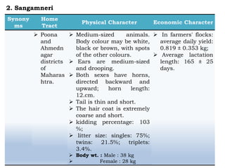  Poona
and
Ahmedn
agar
districts
of
Maharas
htra.
 Medium-sized animals.
Body colour may be white,
black or brown, with spots
of the other colours.
 Ears are medium-sized
and drooping.
 Both sexes have horns,
directed backward and
upward; horn length:
12.cm.
 Tail is thin and short.
 The hair coat is extremely
coarse and short.
 kidding percentage: 103
%;
 litter size: singles: 75%;
twins: 21.5%; triplets:
3.4%.
 Body wt. : Male : 38 kg
 Female : 28 kg
 In farmers' flocks:
average daily yield:
0.819 ± 0.353 kg;
 Average lactation
length: 165 ± 25
days.
2. Sangamneri
 
