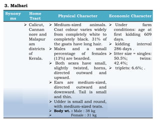  Calicut,
Cannan
nore and
Malapur
am
districts
of
Kerala.
 Medium-sized animals.
Coat colour varies widely
from completely white to
completely black. 31% of
the goats have long hair.
 Males and a small
percentage of females
(13%) are bearded.
 Both sexes have small,
slightly twisted, horns,
directed outward and
upward.
 Ears are medium-sized,
directed outward and
downward. Tail is small
and thin.
 Udder is small and round,
with medium-sized teats.
 Body wt. : Male : 38 kg
 Female : 31 kg
 Under farm
conditions: age at
first kidding 609
days.
 kidding interval
286 days .
 litter size = singles:
50.5%; twins:
42.4%;
 triplets: 6.6%; .
3. Malbari
 