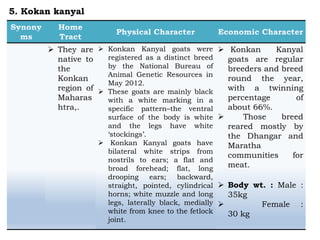  They are
native to
the
Konkan
region of
Maharas
htra,.
 Konkan Kanyal goats were
registered as a distinct breed
by the National Bureau of
Animal Genetic Resources in
May 2012.
 These goats are mainly black
with a white marking in a
specific pattern–the ventral
surface of the body is white
and the legs have white
‘stockings’.
 Konkan Kanyal goats have
bilateral white strips from
nostrils to ears; a flat and
broad forehead; flat, long
drooping ears; backward,
straight, pointed, cylindrical
horns; white muzzle and long
legs, laterally black, medially
white from knee to the fetlock
joint.
 Konkan Kanyal
goats are regular
breeders and breed
round the year,
with a twinning
percentage of
about 66%.
 Those breed
reared mostly by
the Dhangar and
Maratha
communities for
meat.
 Body wt. : Male :
35kg
 Female :
30 kg
5. Kokan kanyal
 
