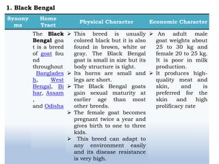 The Black
Bengal goa
t is a breed
of goat fou
nd
throughout
Banglades
h, West
Bengal, Bi
har, Assam
,
and Odisha
 This breed is usually
colored black but it is also
found in brown, white or
gray. The Black Bengal
goat is small in size but its
body structure is tight.
 Its horns are small and
legs are short.
 The Black Bengal goats
gain sexual maturity at
earlier age than most
other breeds.
 The female goat becomes
pregnant twice a year and
gives birth to one to three
kids.
 This breed can adapt to
any environment easily
and its disease resistance
is very high.
 An adult male
goat weights about
25 to 30 kg and
female 20 to 25 kg.
It is poor in milk
production.
 It produces high-
quality meat and
skin, and is
preferred for the
skin and high
prolificacy rate
1. Black Bengal
 