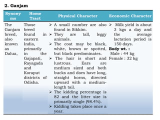 The
Ganjam
breed,
also
known
as
Dalua,
Those
breed
found in
eastern
India,
primarily
in the
Gajapati,
Rayagada
and
Koraput
districts of
Odisha.
 A small number are also
found in Sikkim.
 They are tall, leggy
animals.
 The coat may be black,
white, brown or spotted,
but black predominates.
 The hair is short and
lustrous. Ears are
medium sized and both
bucks and does have long,
straight horns, directed
upward with a medium-
length tail.
 The kidding percentage is
82 and the litter size is
primarily single (98.4%).
 Kidding takes place once a
year.
 Milk yield is about
3 kgs a day and
the average
lactation period is
150 days.
Body wt. :
Male : 44 kg
Female : 32 kg
2. Ganjam
 