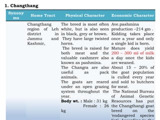 Changthang
region of Leh
district in
Jammu and
Kashmir,
The breed is most often
white, but is also seen
in black, grey or brown.
They have large twisted
horns.
The breed is raised for
both meat and the
valuable cashmere also
known as pashmina.
The Changra are also
useful as pack
animals.
The goats are reared
under an open grazing
system throughout the
year.
Body wt. : Male : 31 kg
Female : 26
kg
Ave.pashmina
production –214 gm .
Kidding takes place
once a year and only
a single kid is born.
Mature does yield
200 – 300 ml of milk
a day once the kids
are weaned.
About 15 – 20% of
the goat population
is culled every year
and sold to butchers
for meat.
The National Bureau
of Animal Genetic
Resources has put
the Changthangi goat
breed on the
‘endangered species
1. Changthang
 