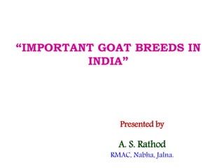 “IMPORTANT GOAT BREEDS IN
INDIA”
Presented by
A. S. Rathod
RMAC, Nabha, Jalna.
 