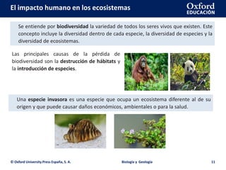 © Oxford University Press España, S. A. Biología y Geología 11
El impacto humano en los ecosistemas
Se entiende por biodiversidad la variedad de todos los seres vivos que existen. Este
concepto incluye la diversidad dentro de cada especie, la diversidad de especies y la
diversidad de ecosistemas.
Una especie invasora es una especie que ocupa un ecosistema diferente al de su
origen y que puede causar daños económicos, ambientales o para la salud.
Las principales causas de la pérdida de
biodiversidad son la destrucción de hábitats y
la introducción de especies.
 