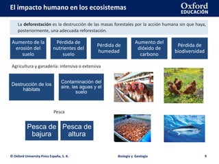 © Oxford University Press España, S. A. Biología y Geología 9
El impacto humano en los ecosistemas
La deforestación es la destrucción de las masas forestales por la acción humana sin que haya,
posteriormente, una adecuada reforestación.
Aumento de la
erosión del
suelo
Pérdida de
nutrientes del
suelo
Pérdida de
humedad
Aumento del
dióxido de
carbono
Pérdida de
biodiversidad
Destrucción de los
hábitats
Contaminación del
aire, las aguas y el
suelo
Agricultura y ganadería: intensiva o extensiva
Pesca de
bajura
Pesca de
altura
Pesca
 