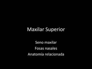 Maxilar Superior
Seno maxilar
Fosas nasales
Anatomía relacionada
 