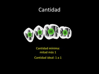 Cantidad
Cantidad ideal: 1 a 1
Cantidad mínima:
mitad más 1
 