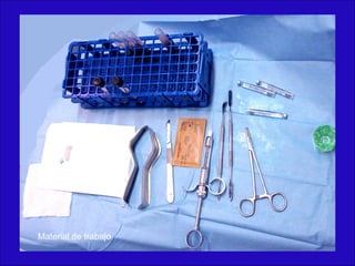 Material de trabajo
 