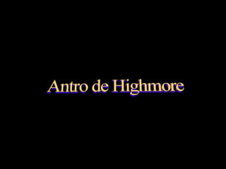 Antro de Highmore
 