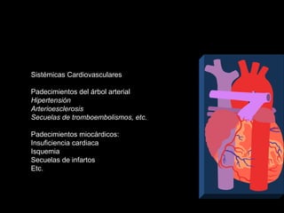 Sistémicas Cardiovasculares
Padecimientos del árbol arterial
Hipertensión
Arterioesclerosis
Secuelas de tromboembolismos, etc.
Padecimientos miocárdicos:
Insuficiencia cardiaca
Isquemia
Secuelas de infartos
Etc.
 